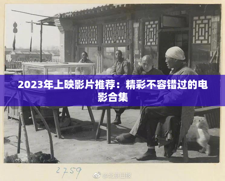 2023年上映影片推荐：精彩不容错过的电影合集