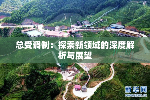 总受调制：探索新领域的深度解析与展望