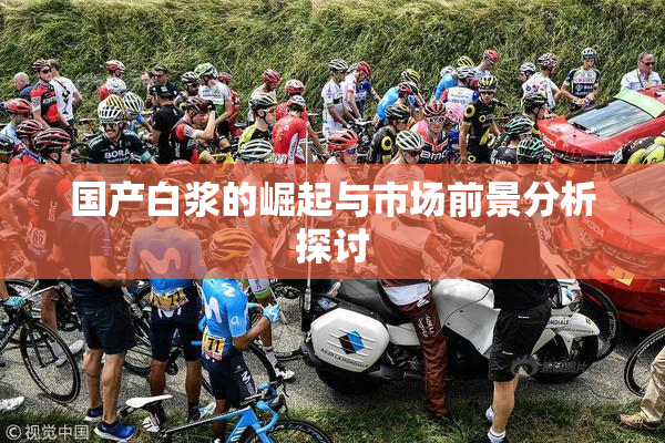 国产白浆的崛起与市场前景分析探讨