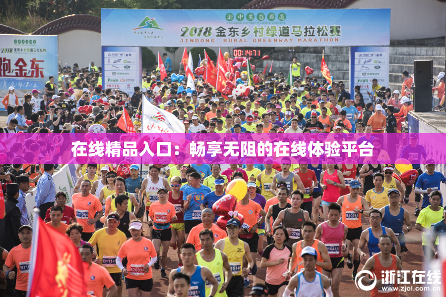 在线精品入口：畅享无阻的在线体验平台