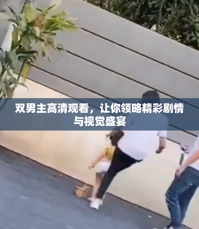 双男主高清观看，让你领略精彩剧情与视觉盛宴