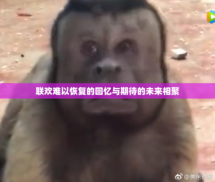 联欢难以恢复的回忆与期待的未来相聚