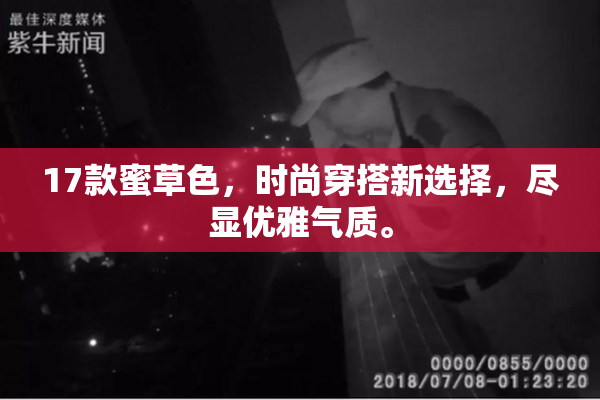 17款蜜草色，时尚穿搭新选择，尽显优雅气质。