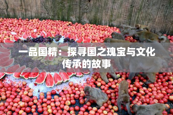 一品国精：探寻国之瑰宝与文化传承的故事