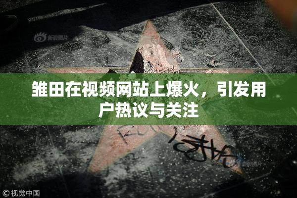 雏田在视频网站上爆火，引发用户热议与关注