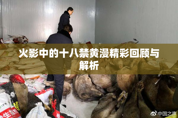 火影中的十八禁黄漫精彩回顾与解析