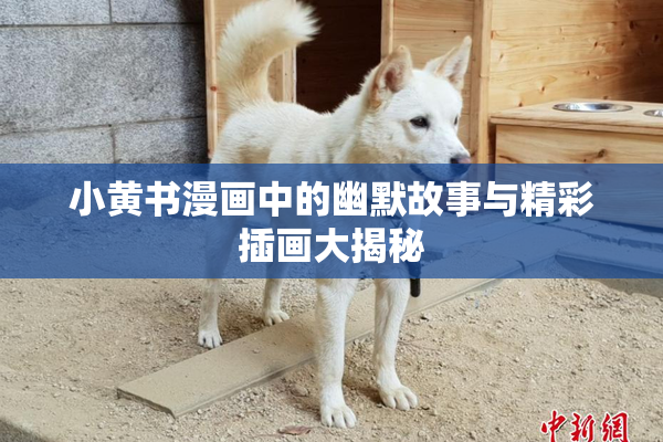 小黄书漫画中的幽默故事与精彩插画大揭秘