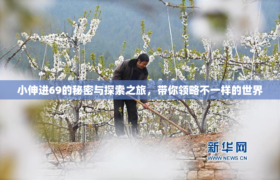 小伸进69的秘密与探索之旅，带你领略不一样的世界