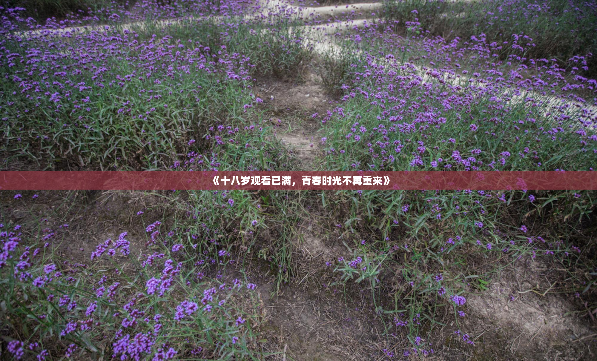 《十八岁观看已满，青春时光不再重来》
