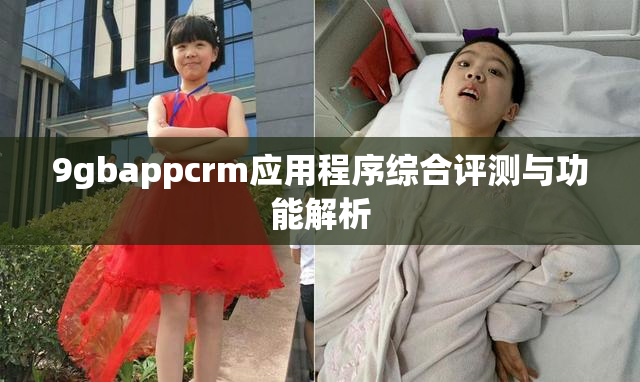 9gbappcrm应用程序综合评测与功能解析