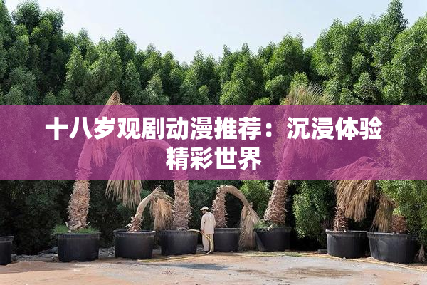 十八岁观剧动漫推荐：沉浸体验精彩世界