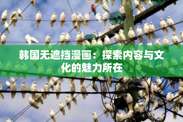 韩国无遮挡漫画：探索内容与文化的魅力所在
