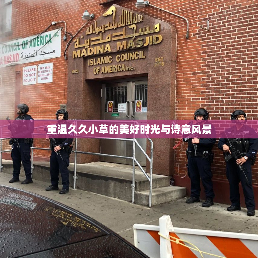 重温久久小草的美好时光与诗意风景