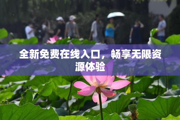 全新免费在线入口，畅享无限资源体验