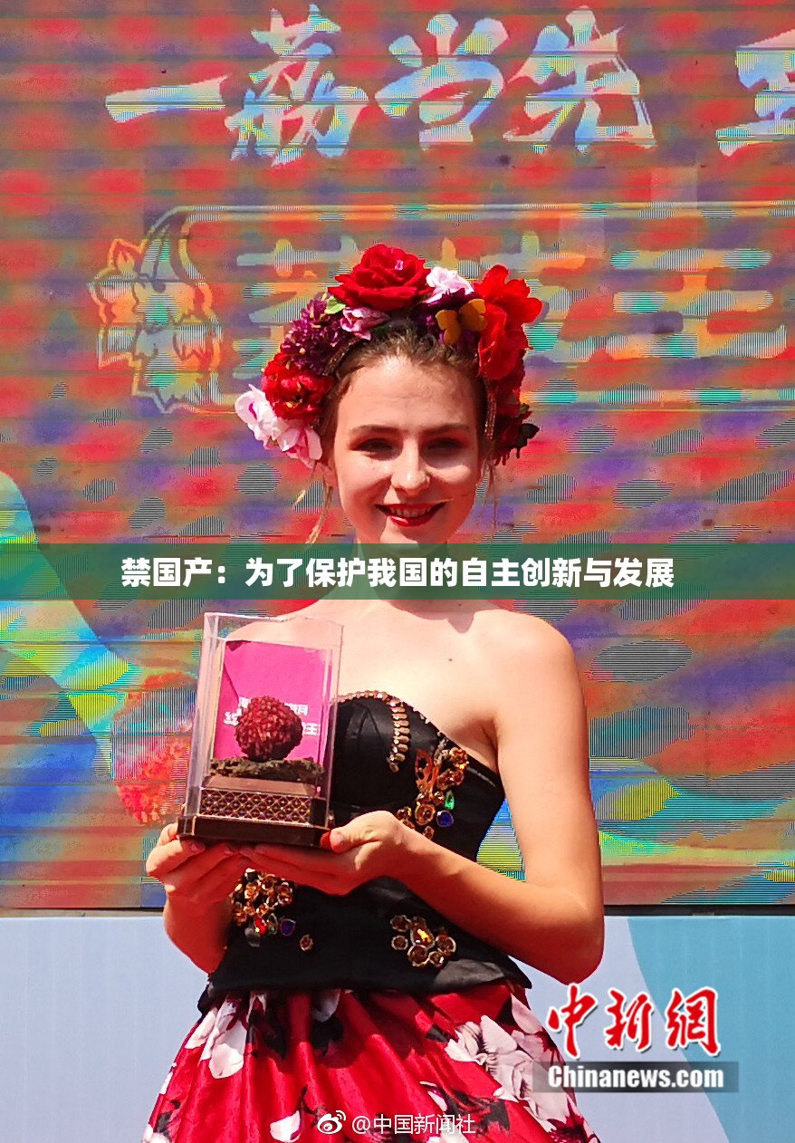 禁国产：为了保护我国的自主创新与发展