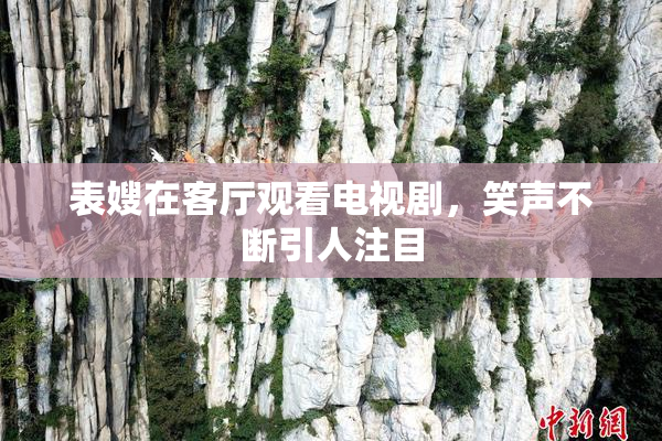表嫂在客厅观看电视剧，笑声不断引人注目