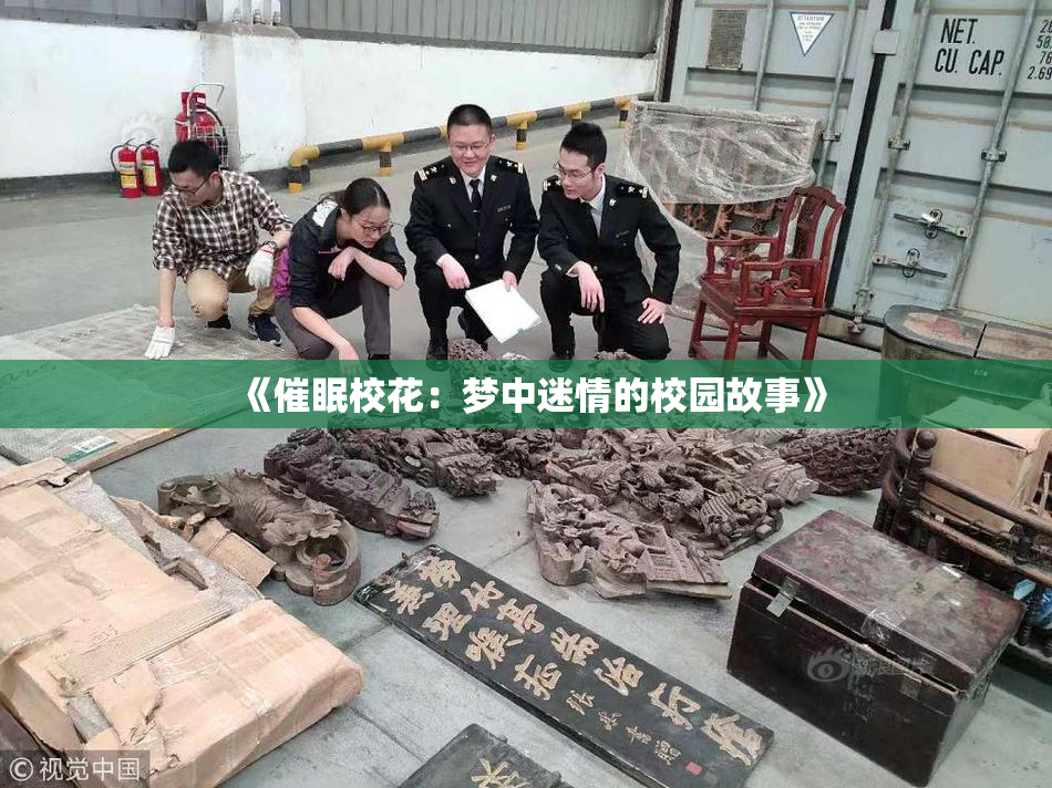 《催眠校花：梦中迷情的校园故事》