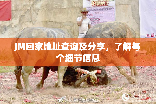 JM回家地址查询及分享，了解每个细节信息