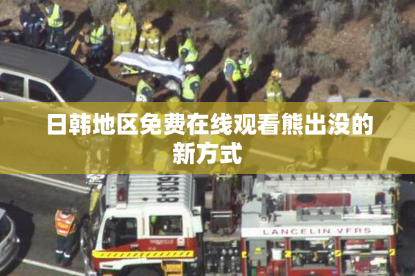 日韩地区免费在线观看熊出没的新方式