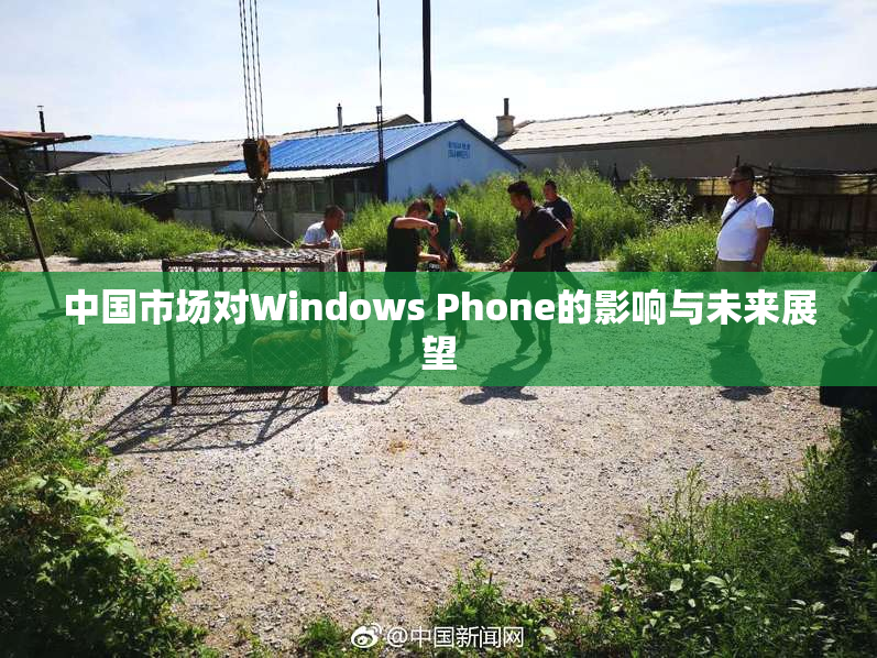 中国市场对Windows Phone的影响与未来展望