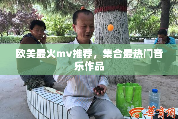 欧美最火mv推荐，集合最热门音乐作品