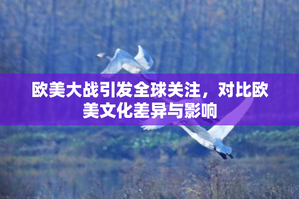 欧美大战引发全球关注，对比欧美文化差异与影响