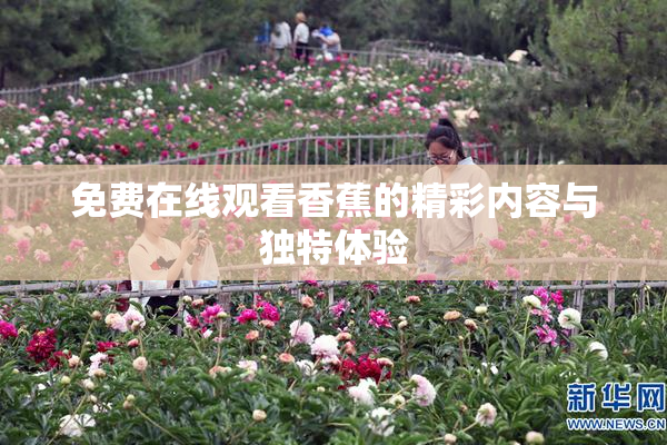 免费在线观看香蕉的精彩内容与独特体验