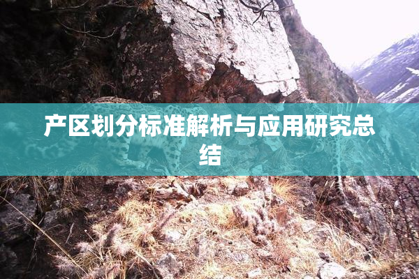 产区划分标准解析与应用研究总结