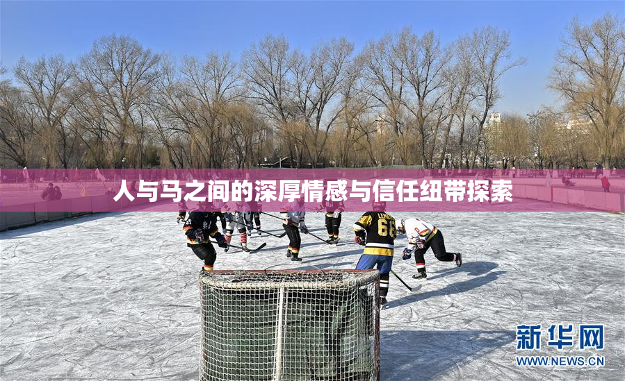 人与马之间的深厚情感与信任纽带探索
