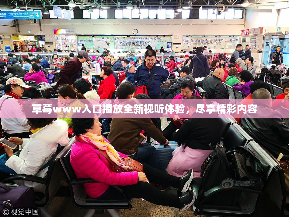 草莓www入口播放全新视听体验，尽享精彩内容