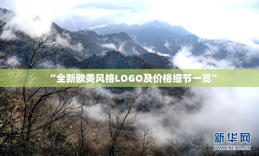 “全新欧美风格LOGO及价格细节一览”