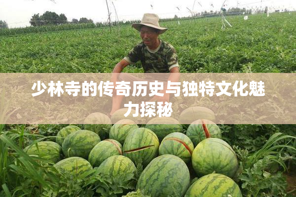 少林寺的传奇历史与独特文化魅力探秘