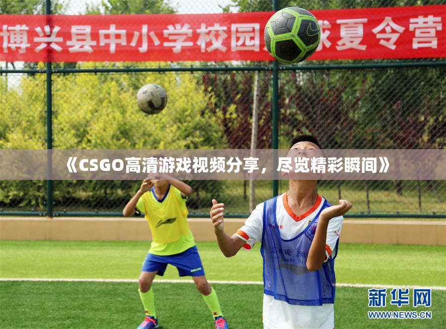 《CSGO高清游戏视频分享，尽览精彩瞬间》