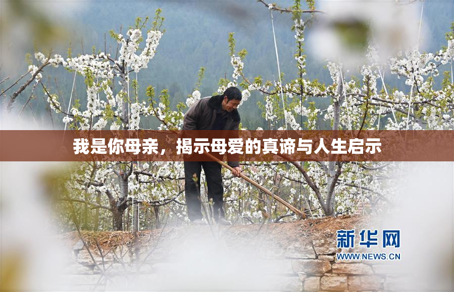 我是你母亲，揭示母爱的真谛与人生启示