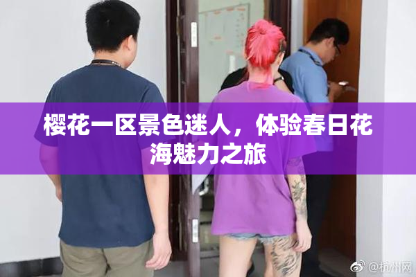 樱花一区景色迷人，体验春日花海魅力之旅