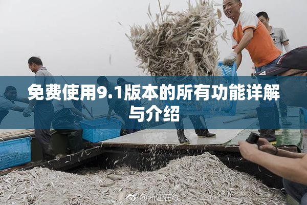 免费使用9.1版本的所有功能详解与介绍