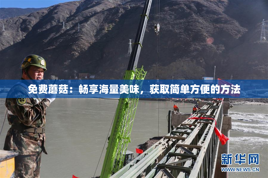 免费蘑菇：畅享海量美味，获取简单方便的方法
