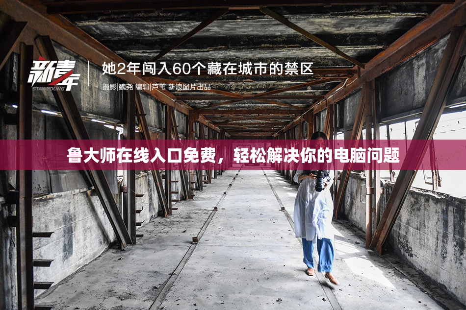 鲁大师在线入口免费，轻松解决你的电脑问题