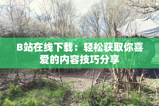 B站在线下载：轻松获取你喜爱的内容技巧分享