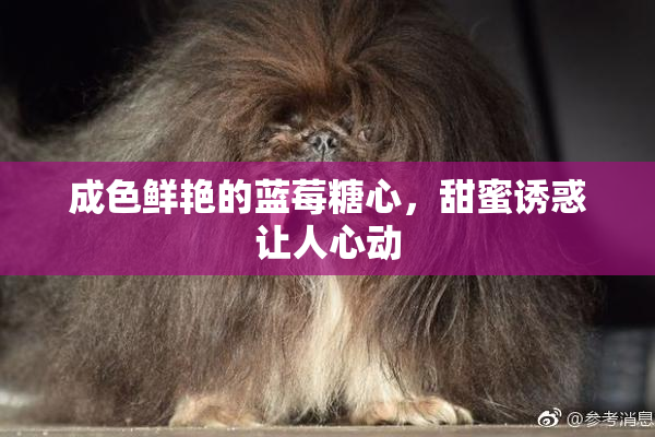 成色鲜艳的蓝莓糖心，甜蜜诱惑让人心动