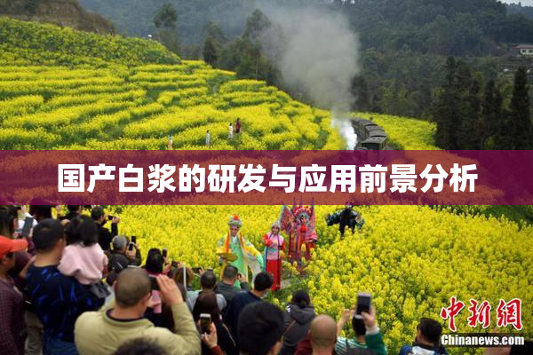 国产白浆的研发与应用前景分析