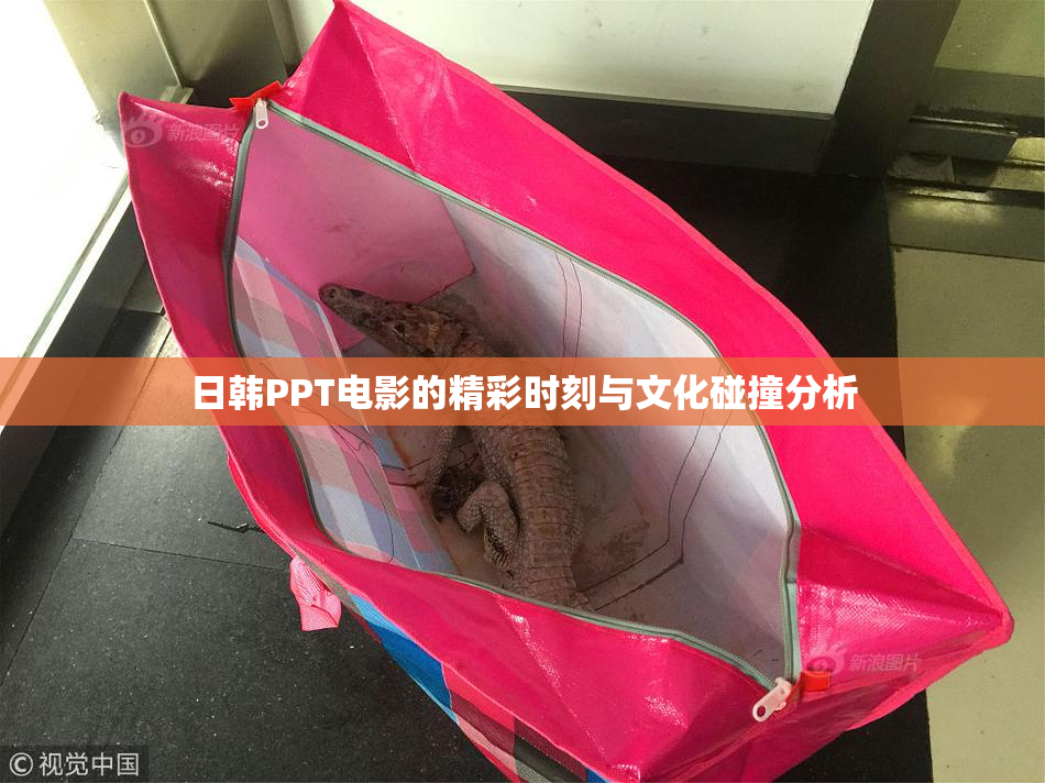 日韩PPT电影的精彩时刻与文化碰撞分析