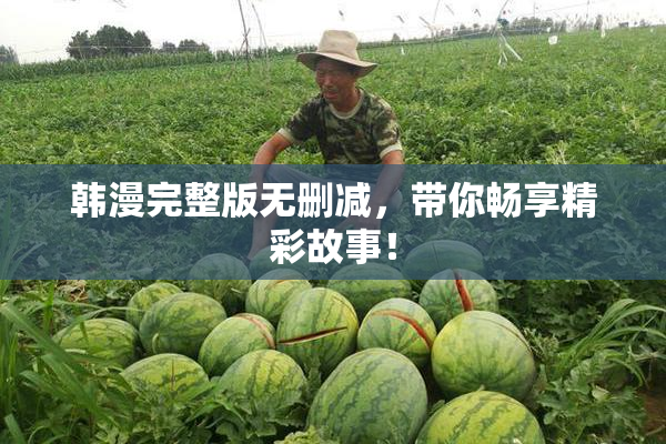韩漫完整版无删减，带你畅享精彩故事！