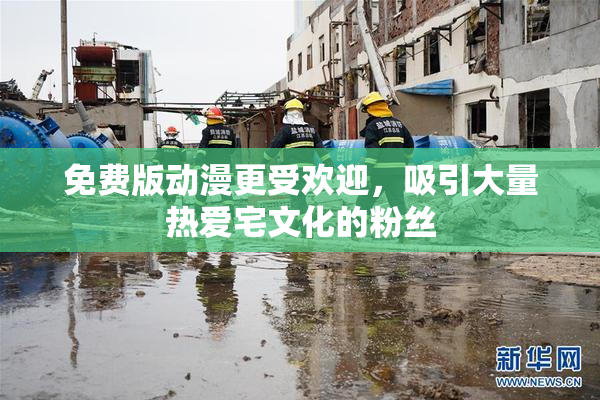 免费版动漫更受欢迎，吸引大量热爱宅文化的粉丝