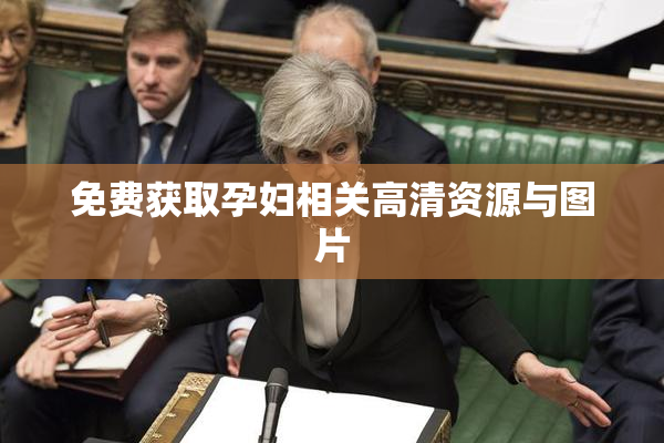 免费获取孕妇相关高清资源与图片