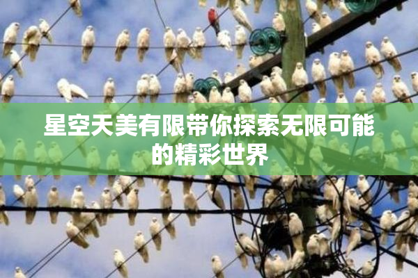 星空天美有限带你探索无限可能的精彩世界