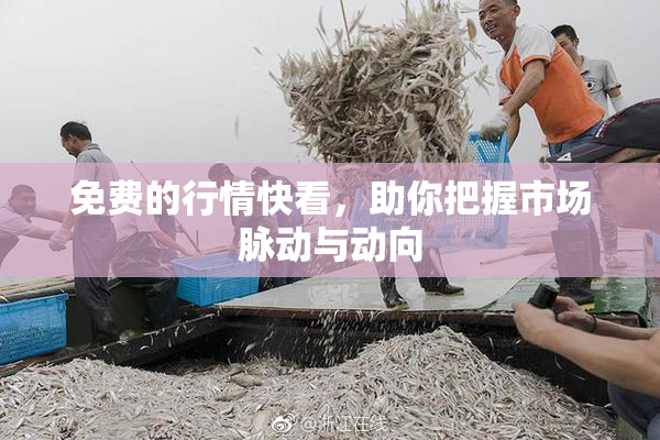 免费的行情快看，助你把握市场脉动与动向