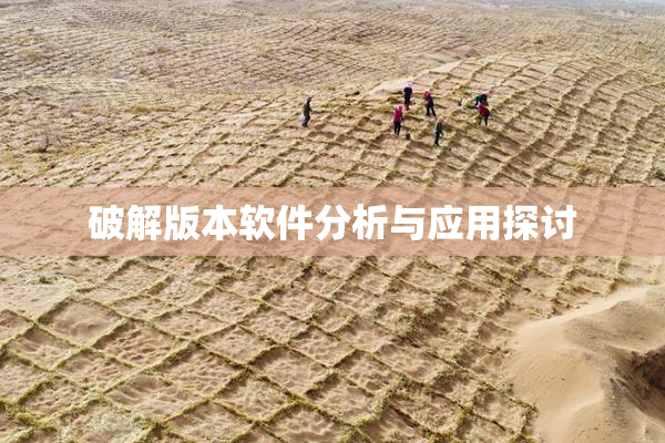 破解版本软件分析与应用探讨