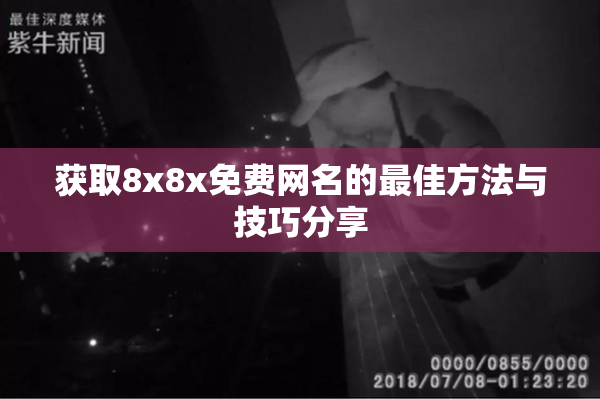获取8x8x免费网名的最佳方法与技巧分享