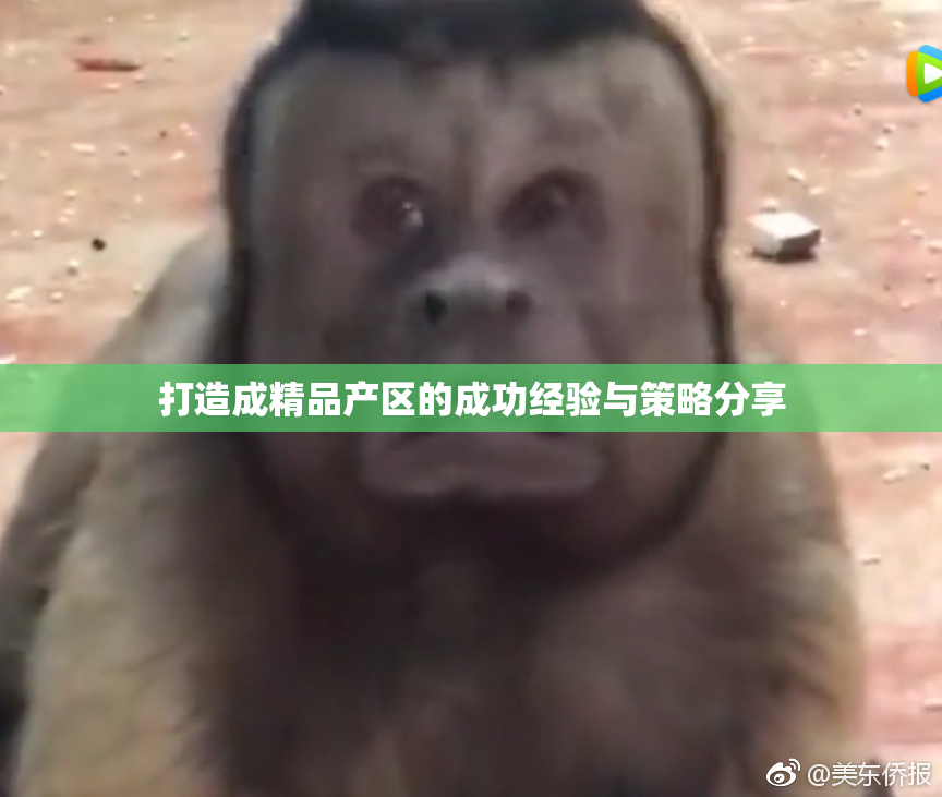 打造成精品产区的成功经验与策略分享